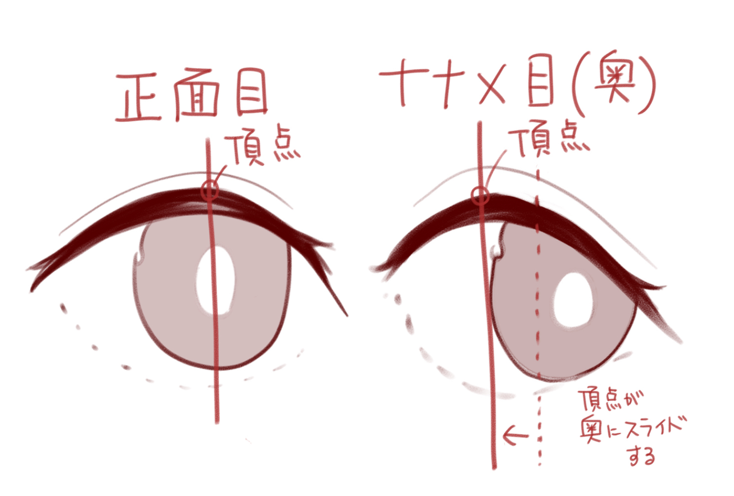 正面から見た目とナナメから見た目の違いメモ