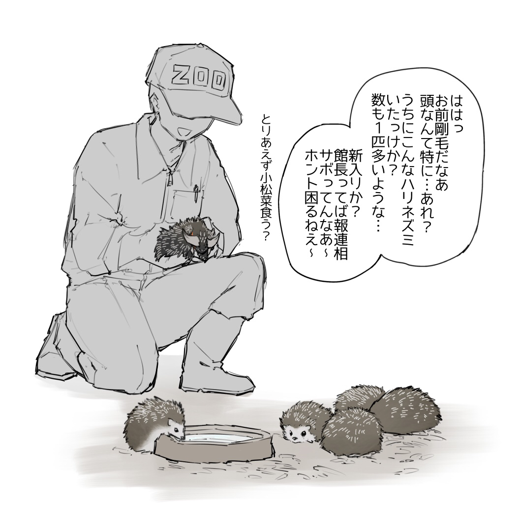 2025年4~5月分の絵插画图片壁纸