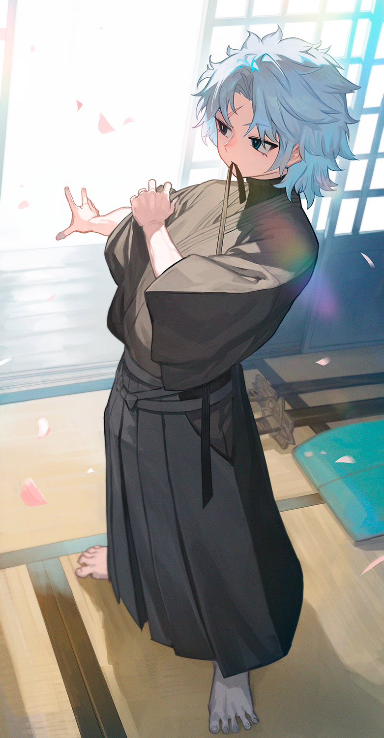 朝支度-命运－冠位指定命运冠位指定