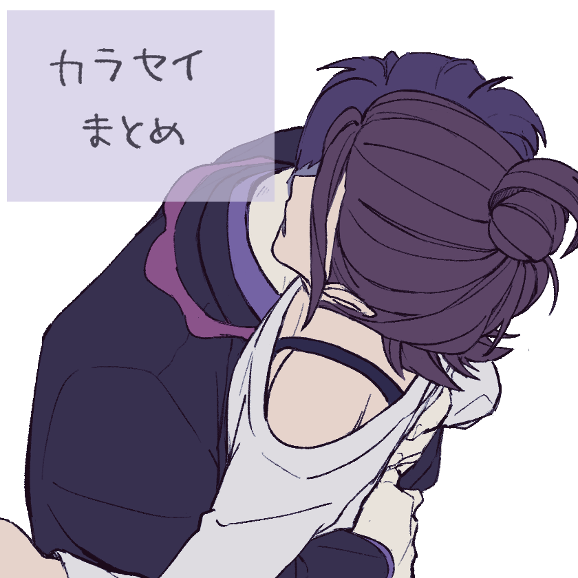 カラセイまとめ-ポケモンZAカラセイ