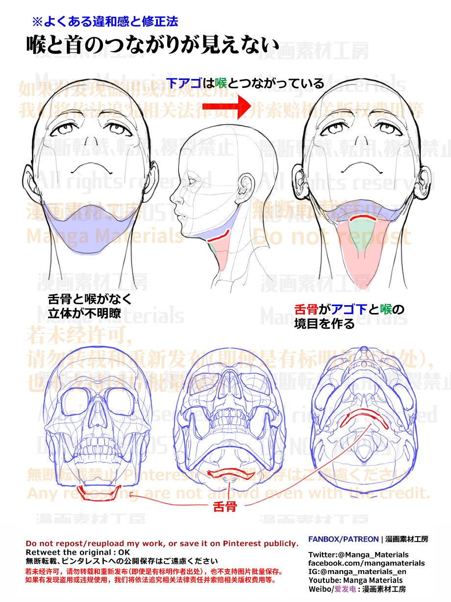 個人メモ：顎～首のつながり插画图片壁纸