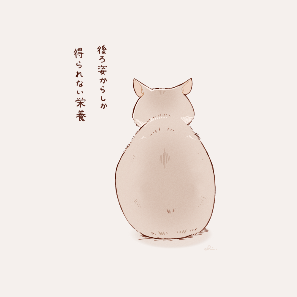 ねこらくがき插画图片壁纸