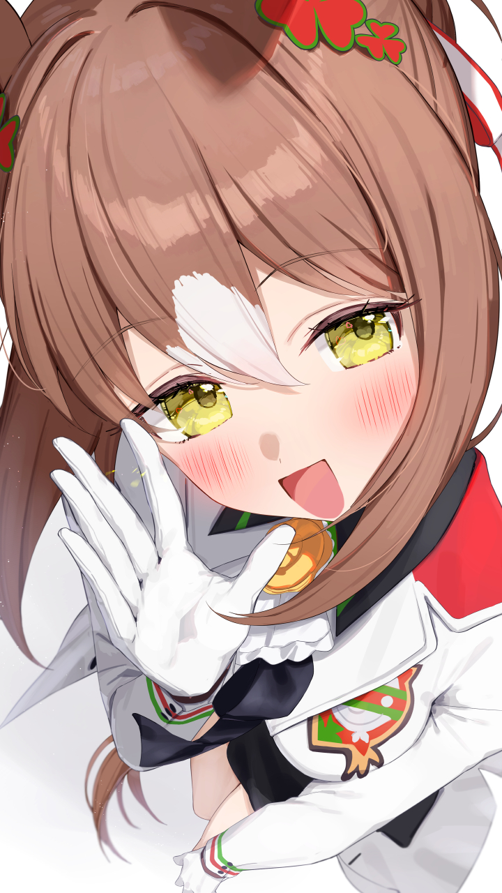 「ねえねえっ、トレーナー？」插画图片壁纸