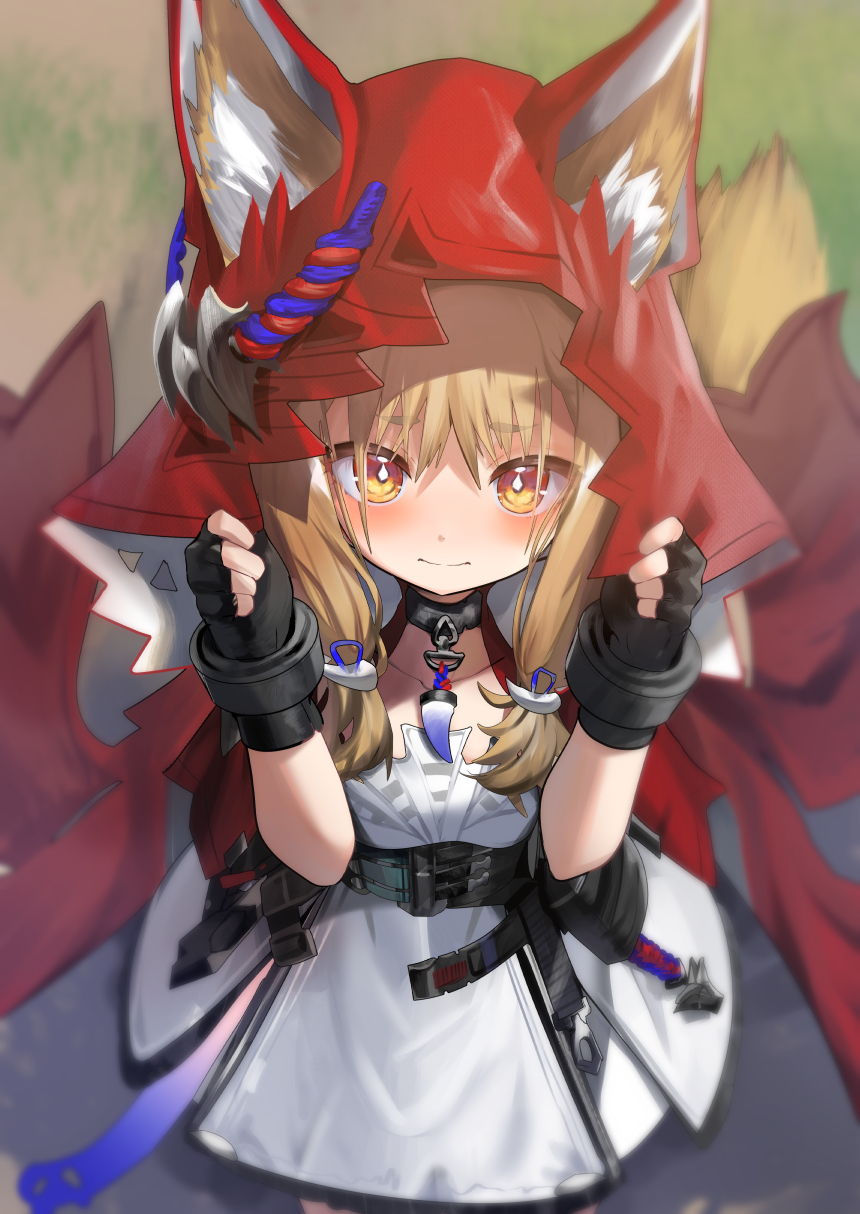 ロッシ插画图片壁纸
