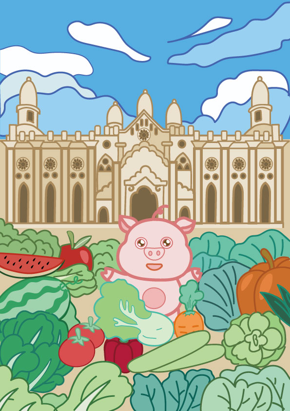 蔬菜插画头像同人高清图