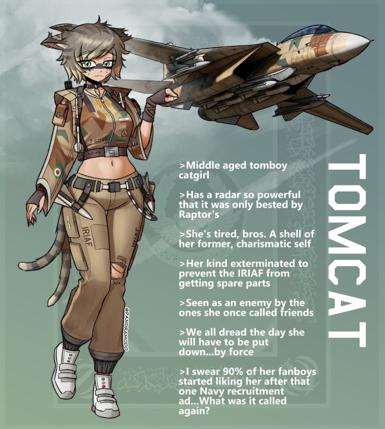 F-14战斗机（雄猫战斗机）头像同人高清图