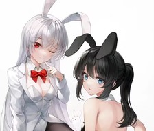 兔女郎-二次元兔女郎