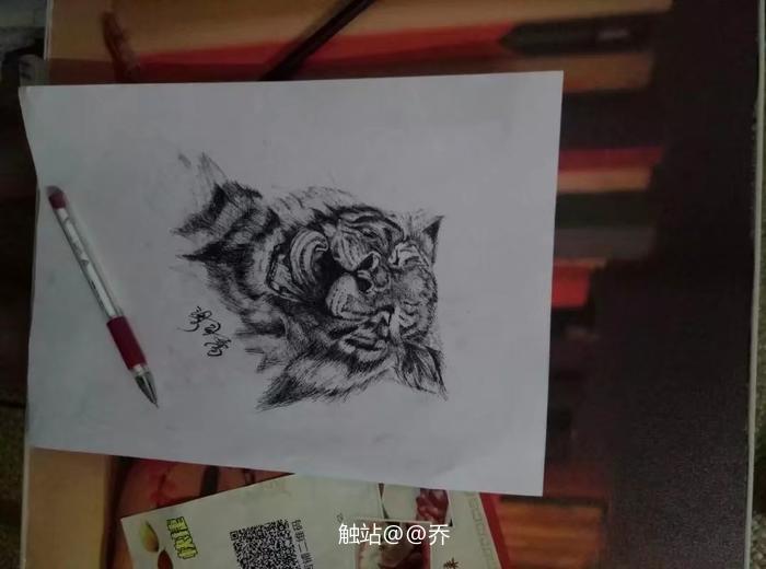 虎插画图片壁纸