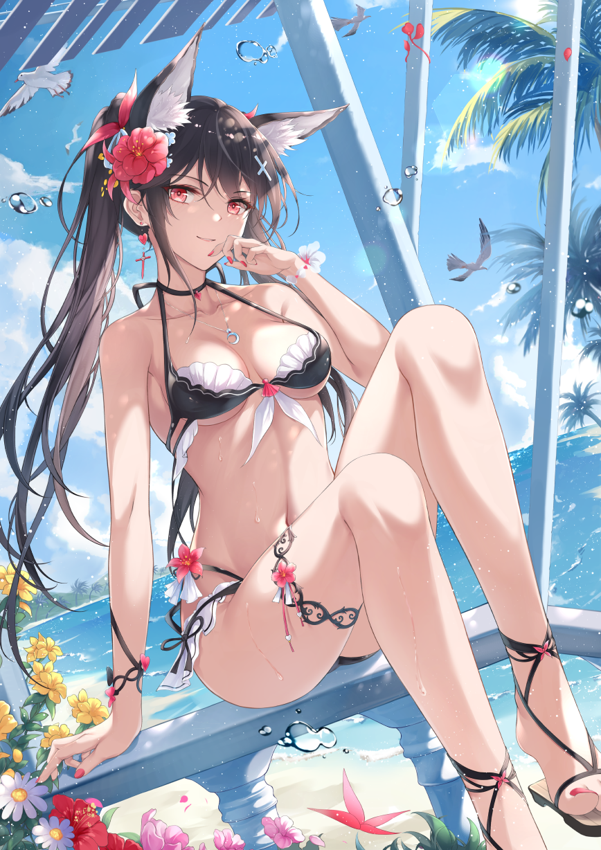 夏日插画图片壁纸