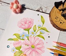 彩铅花卉-彩铅手绘彩铅画