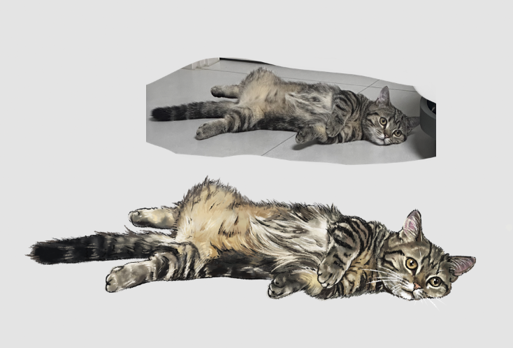 猫猫趴插画图片壁纸