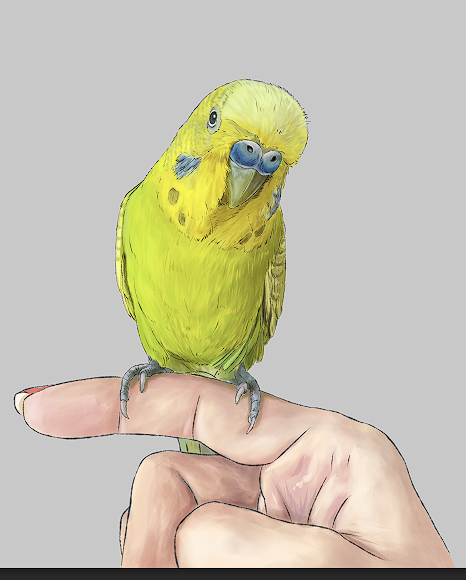 宠物约稿插画图片壁纸
