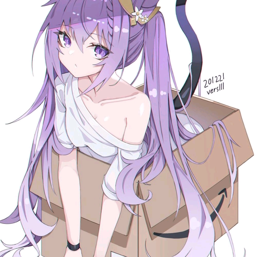 紫毛猫娘-紫毛箱子里的猫