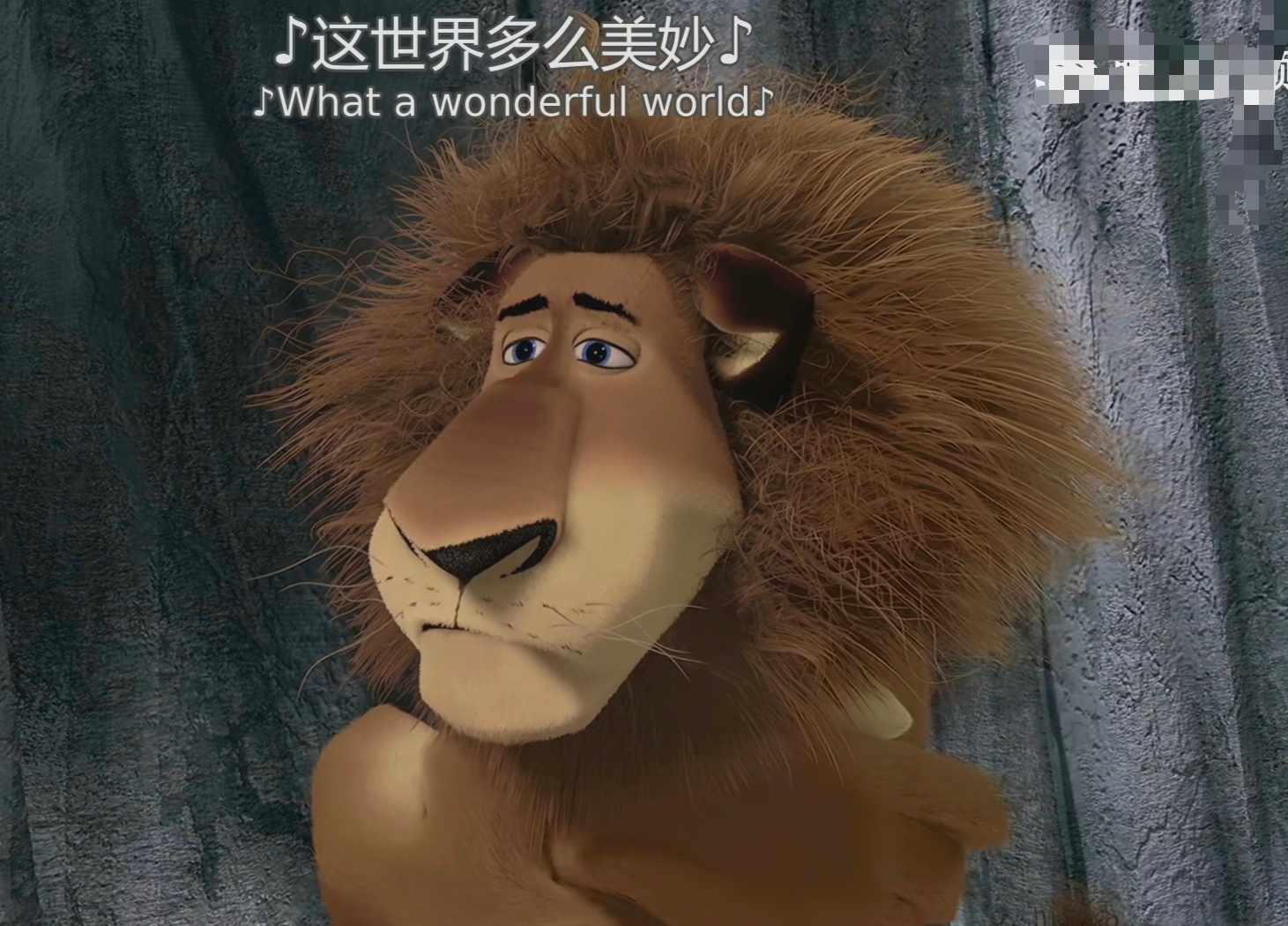 马达加斯加同人-约稿求约稿可约稿