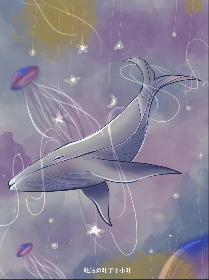 sky ocean插画图片壁纸