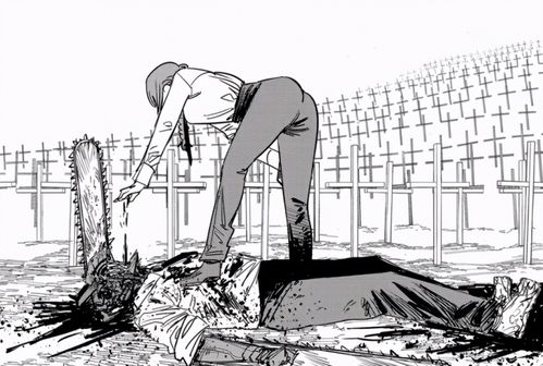 170多张美图电锯人玛奇玛小姐