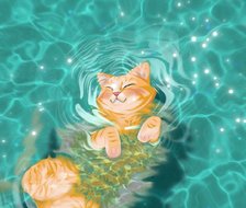 游泳猫咪（修改）