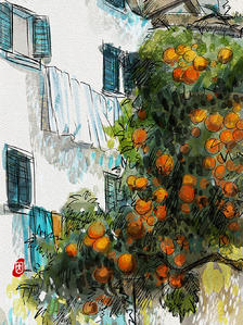 桔子树插画图片壁纸