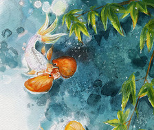 金鱼子系列   水泡望天
