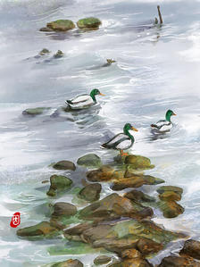 乡野大河绿头鸭插画图片壁纸