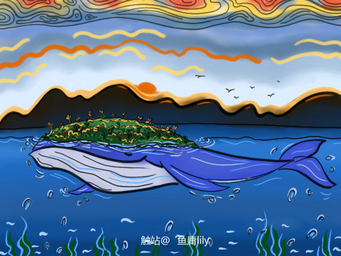 鲸鱼岛插画图片壁纸