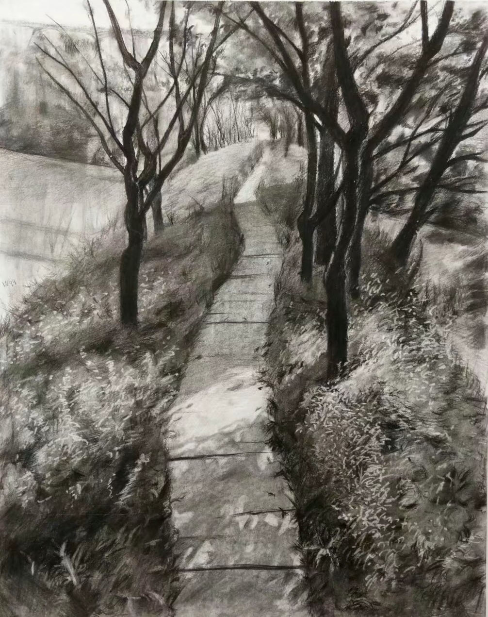 林间小路插画图片壁纸