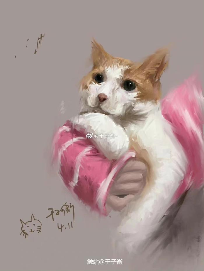 厚涂小猫插画图片壁纸