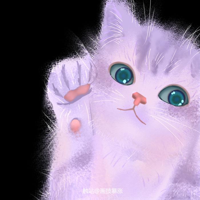 可爱的猫猫呀插画图片壁纸