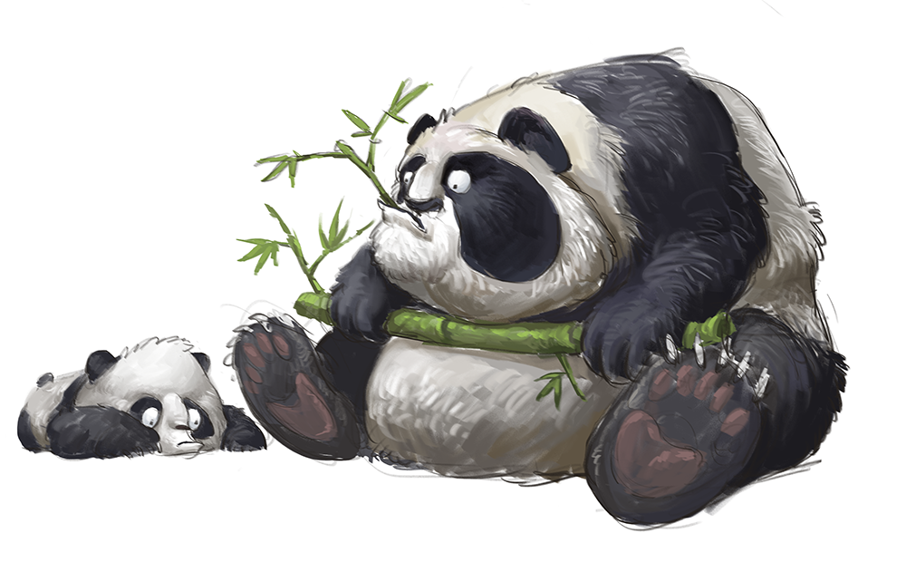 夸张熊猫，嘻哈的海豹，聪明的鳖插画图片壁纸