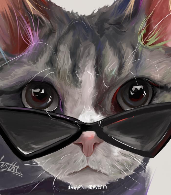 【厚涂宠物】猫猫篇！！插画图片壁纸