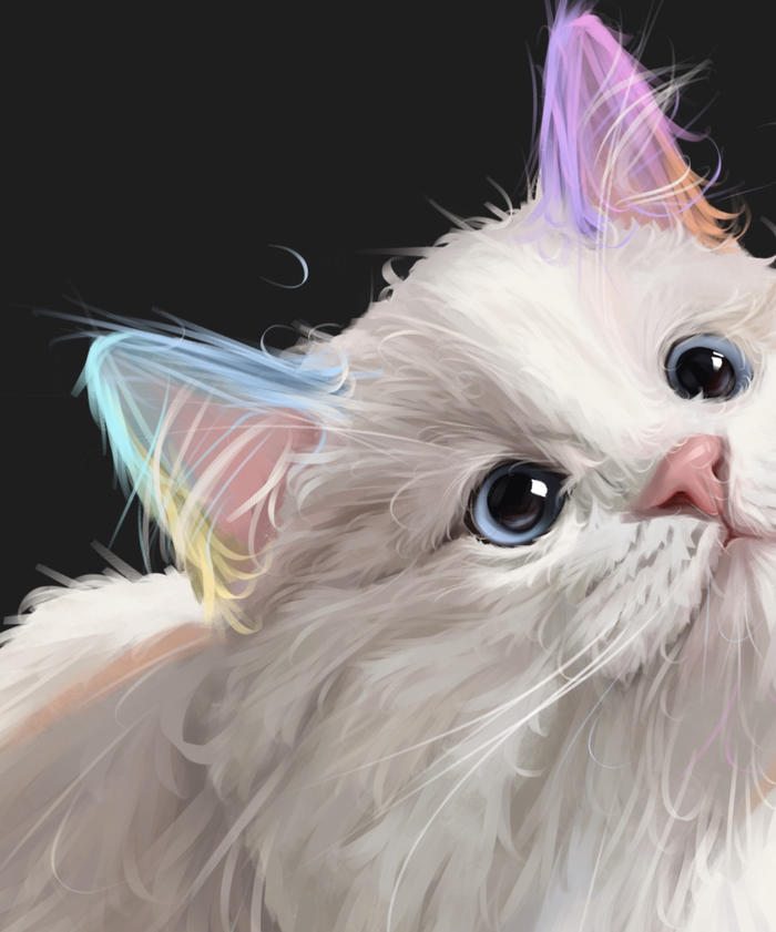 【宠物肖像】布偶猫篇插画图片壁纸