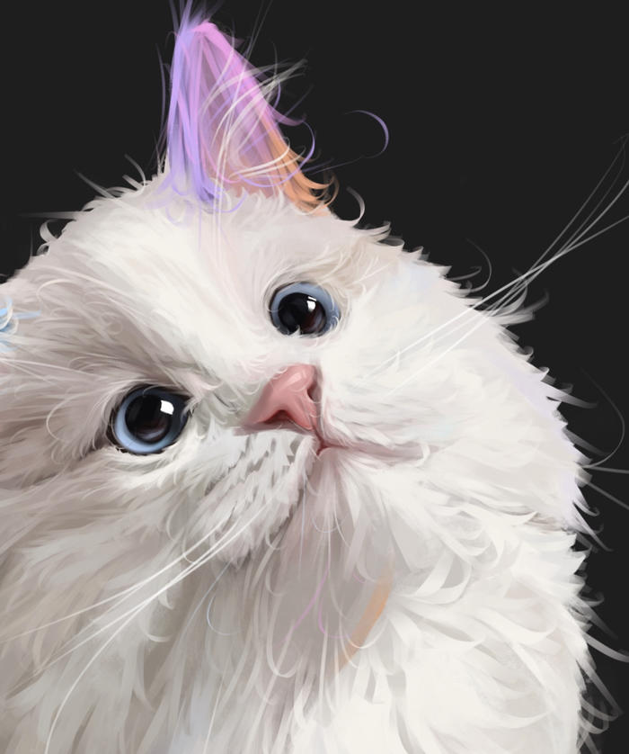 【宠物肖像】布偶猫篇插画图片壁纸
