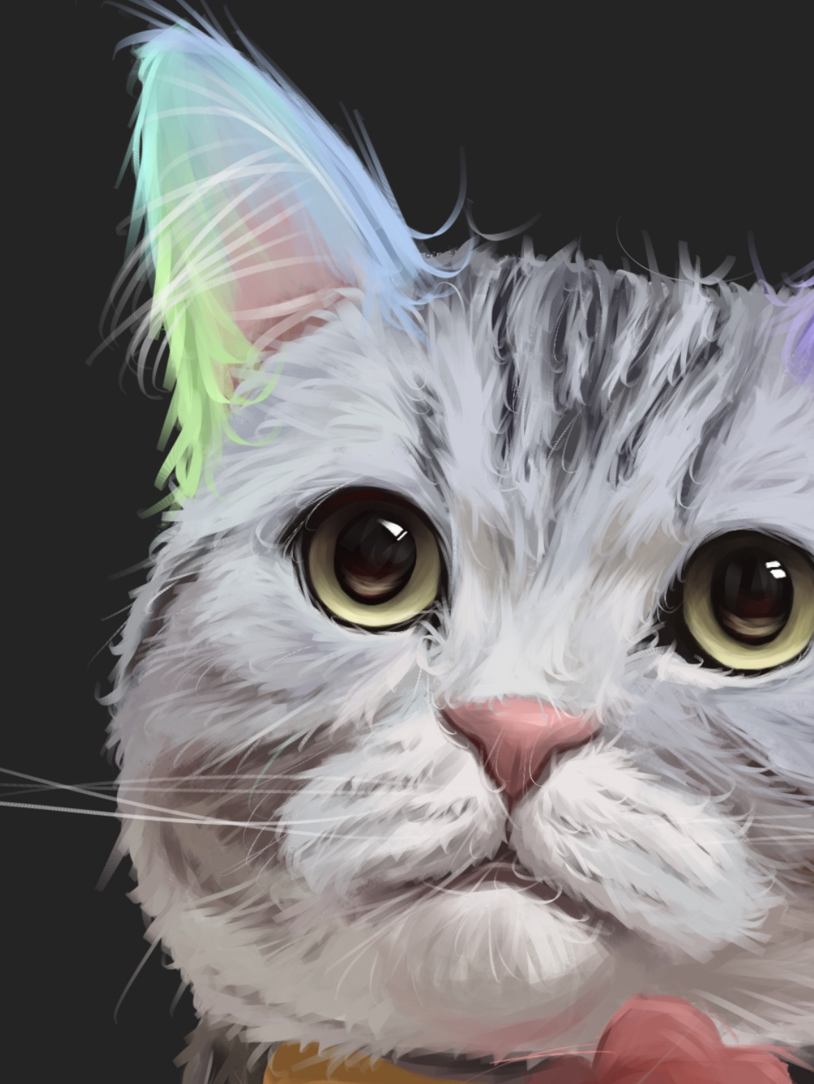 【宠物肖像】美国短毛猫篇～插画图片壁纸