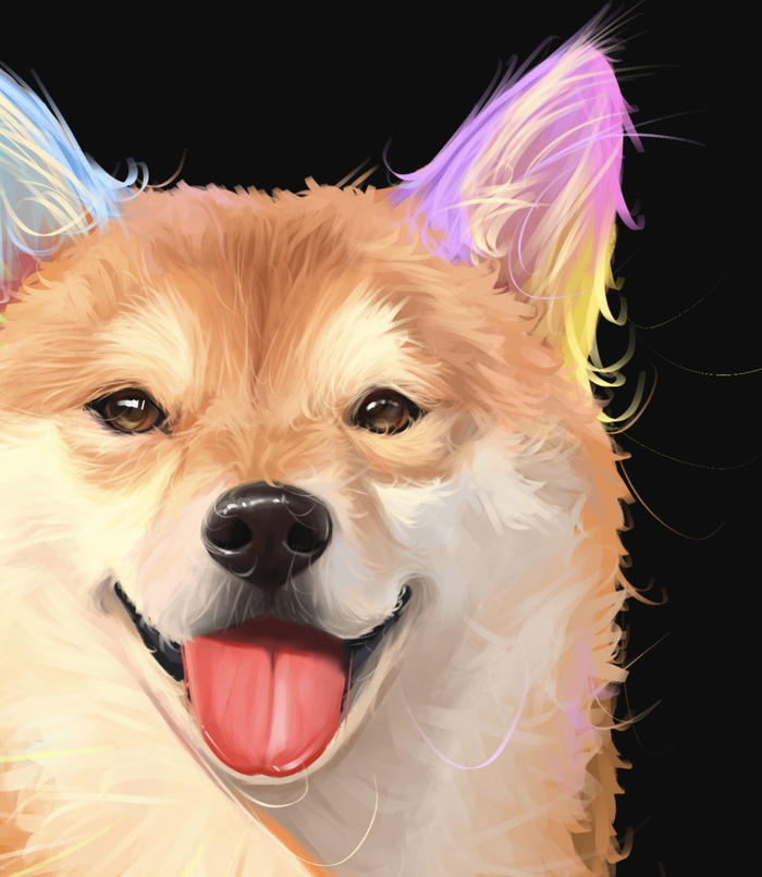 【宠物肖像】柴犬篇～插画图片壁纸
