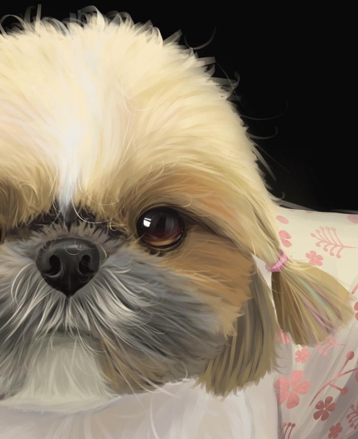 【宠物肖像】可爱小狗！插画图片壁纸