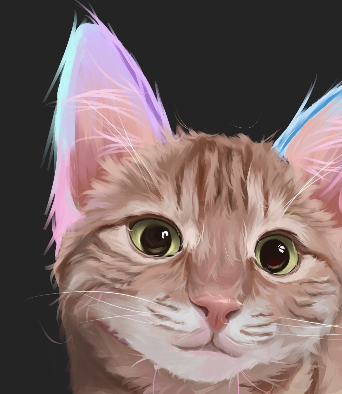 【宠物肖像】狸花猫～插画图片壁纸