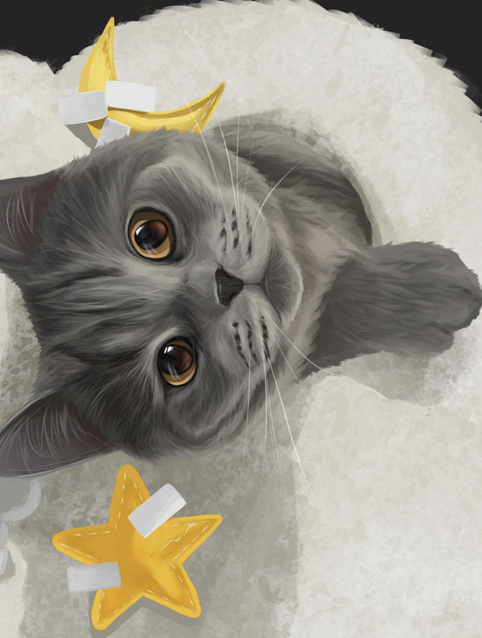 【宠物肖像】蓝猫篇～插画图片壁纸