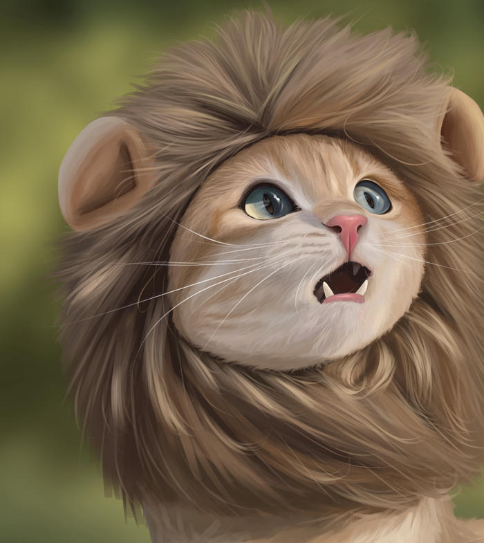 【宠物肖像】狮子猫篇～插画图片壁纸