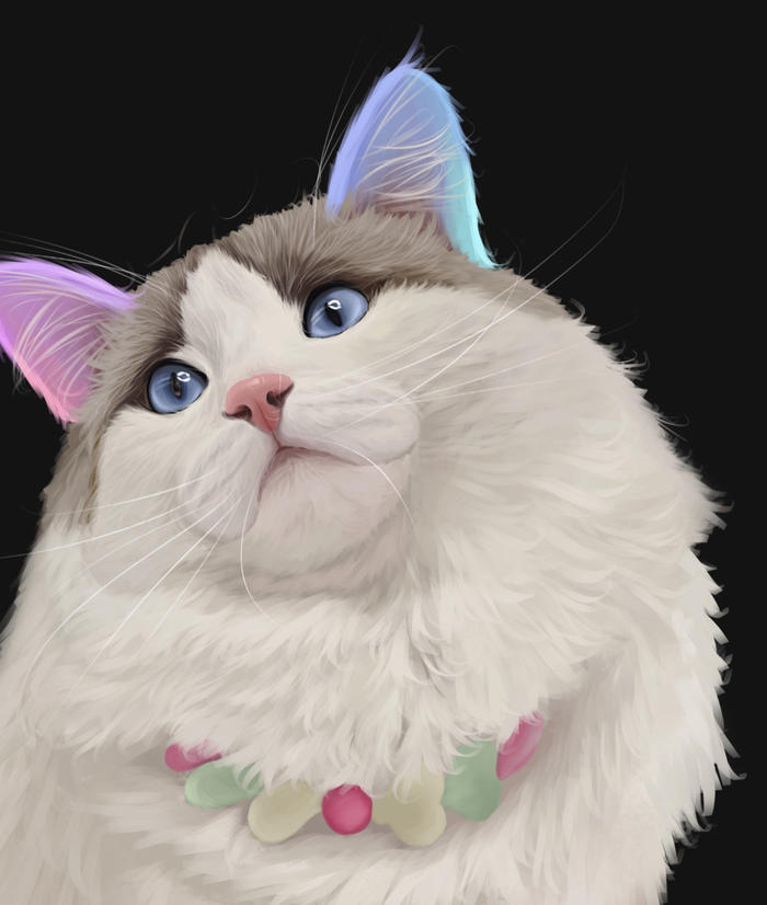 【宠物肖像】布偶猫篇～插画图片壁纸