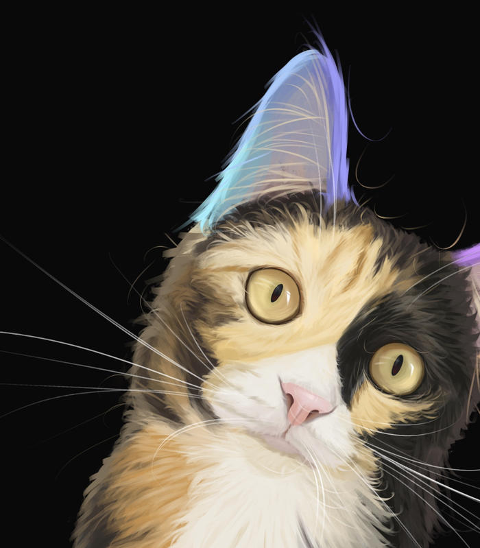 【宠物肖像】玳瑁猫篇～插画图片壁纸