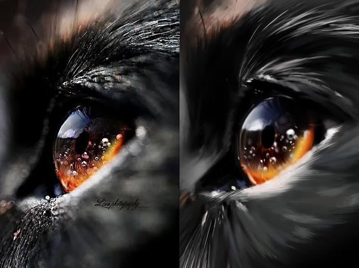 猫猫的眼睛就像一个宇宙插画图片壁纸