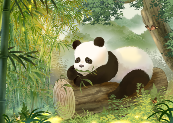 大熊猫插画-原创插画大熊猫