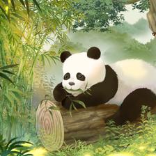 大熊猫插画插画图片壁纸