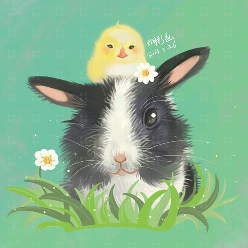 两只萌物[鸡&兔]CP插画图片壁纸