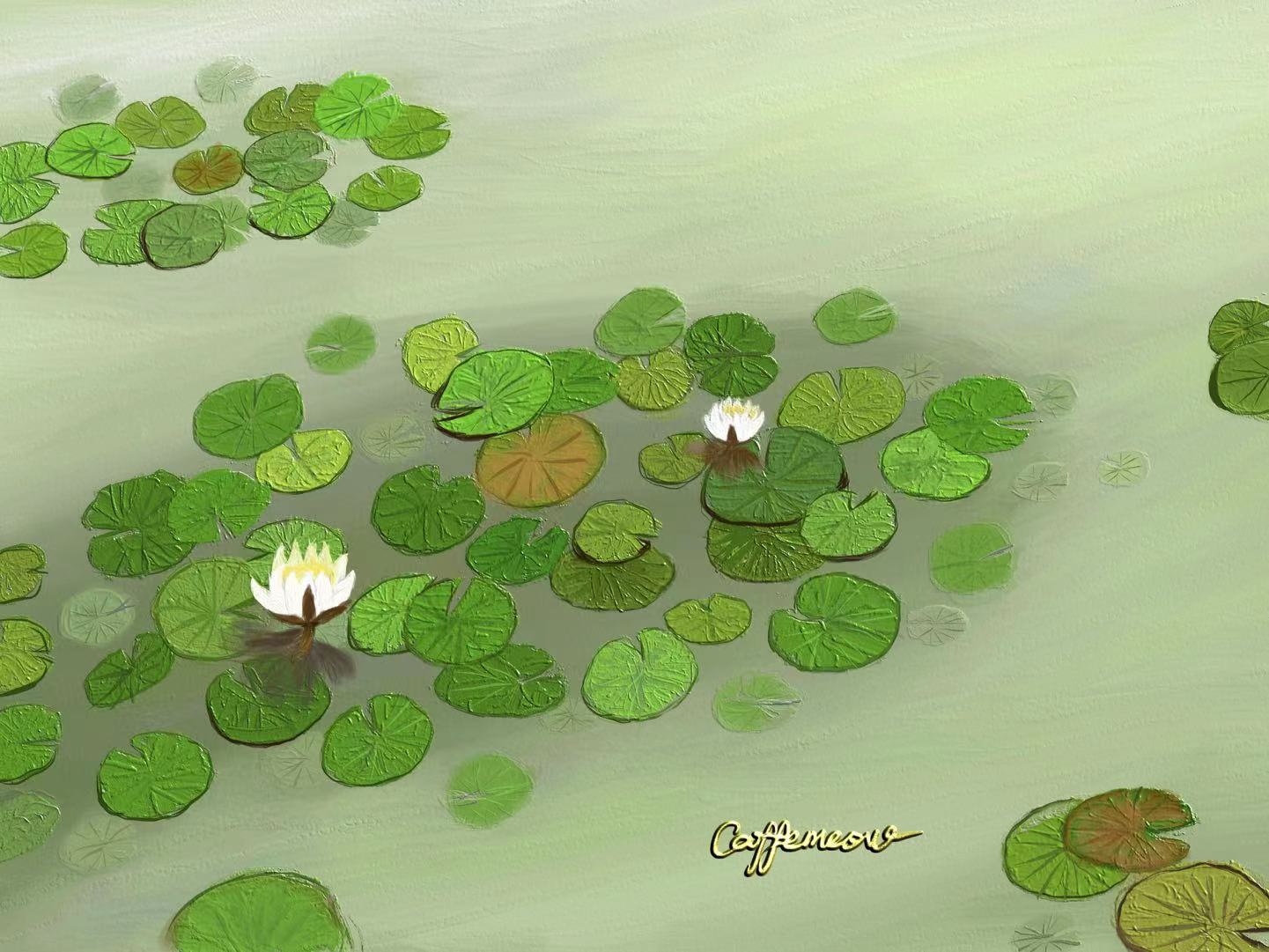 西溪湿地的睡莲-风景油画风景油画壁纸
