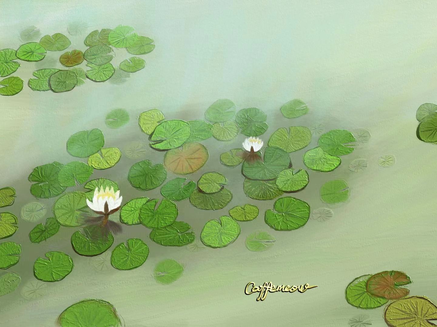 湿地睡莲改进版插画图片壁纸