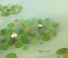 湿地睡莲改进版-睡莲风景油画