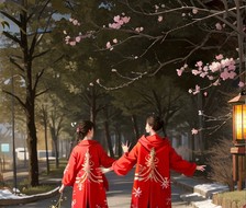 春之花语-2.5D写实樱花