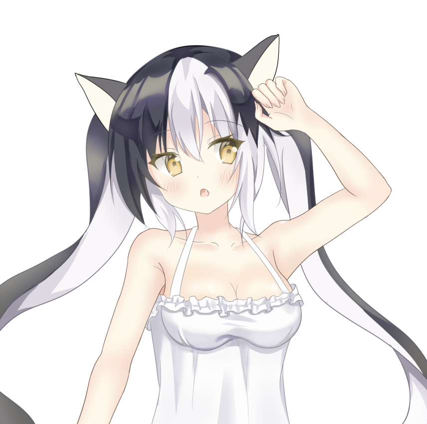 双马尾猫娘头像同人高清图