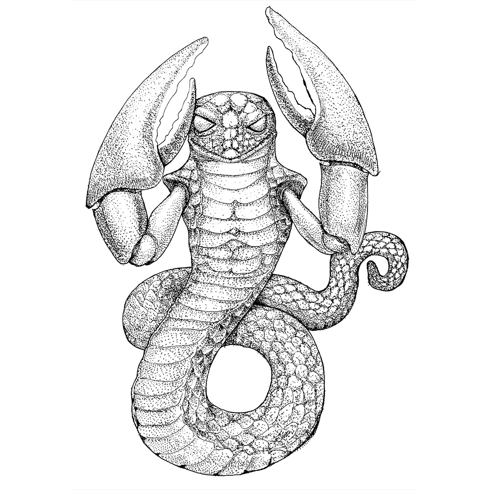 星肖绘 - 巨蟹座 生肖蛇插画图片壁纸